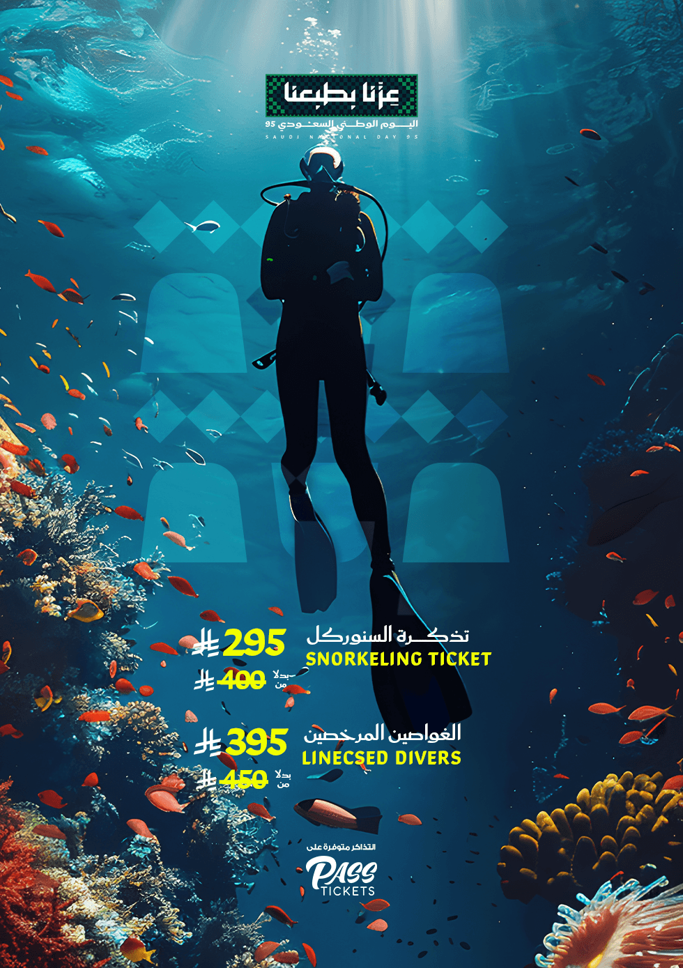 Daily Snorkel Adventures