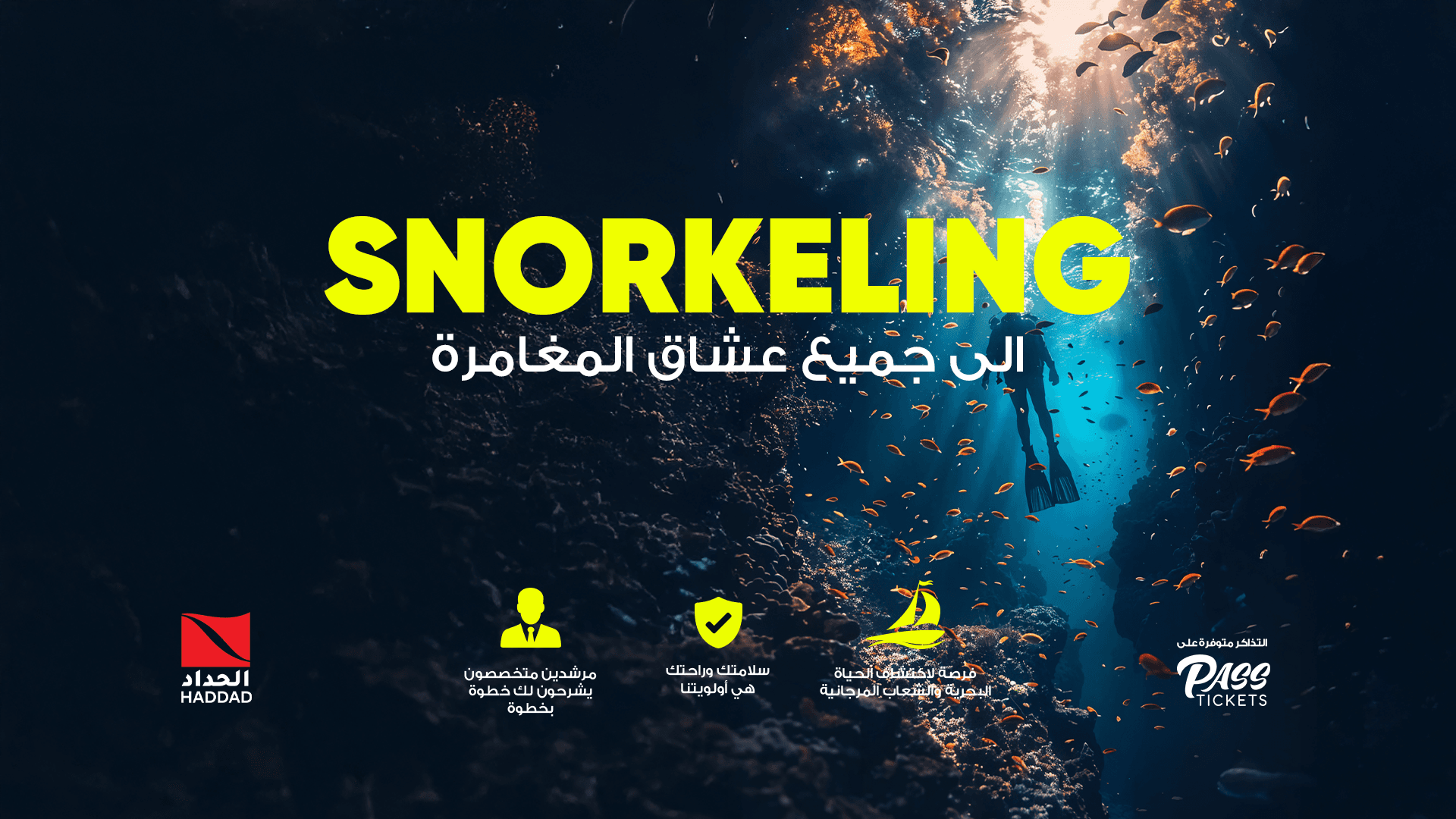 Daily Snorkel Adventures